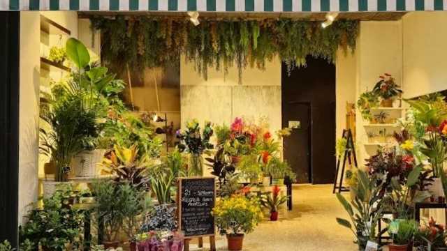 Florista