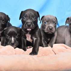 company photo