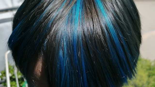 Oficial de Peluquería