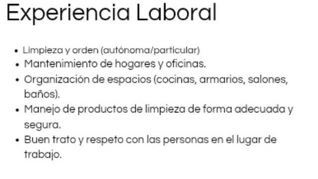 Limpiador/a