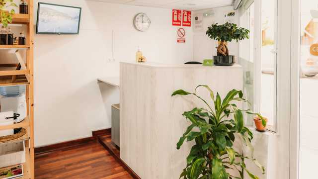 Recepcionista