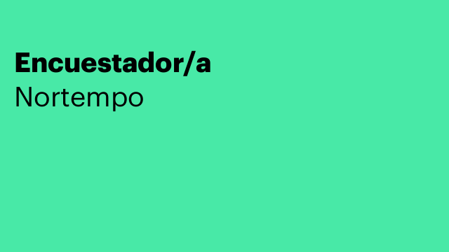 Encuestador/a