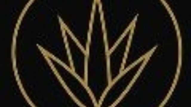 Camarera de Restaurante