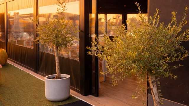 Ayudante/a de Cocina