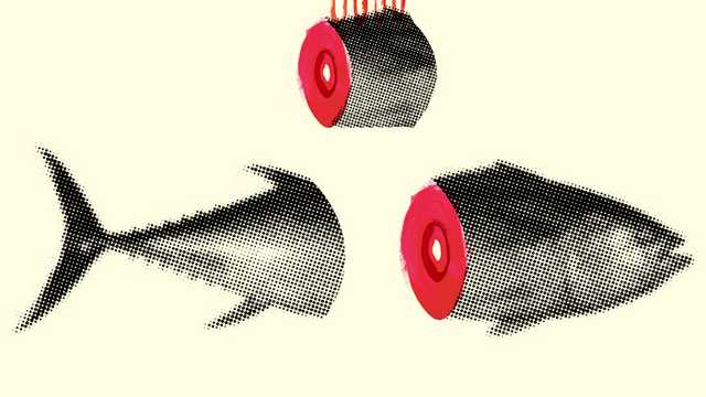 Dependiente/a de Tienda