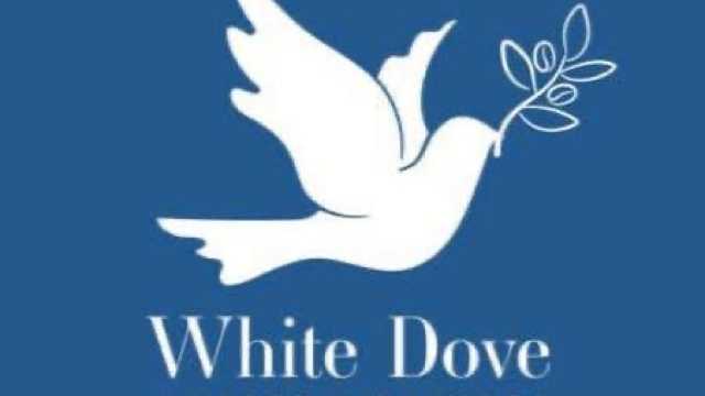 Barista / Front of House