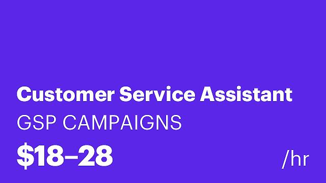 Customer Service Assistant