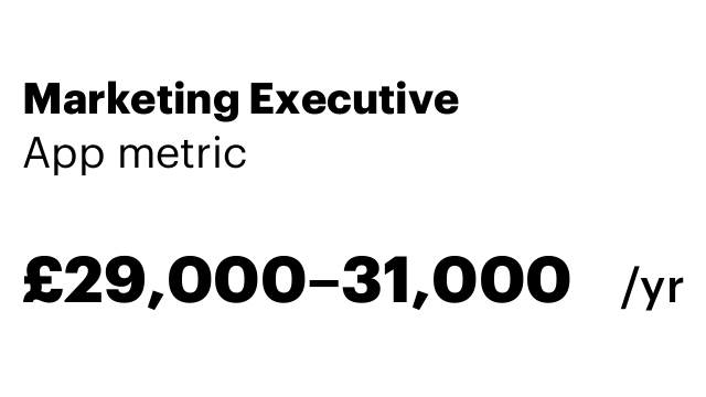 Marketing Executive