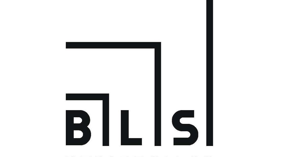 BLS DESARROLLOS S.L. cover image
