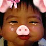 Silvia Zhao Lin avatar icon