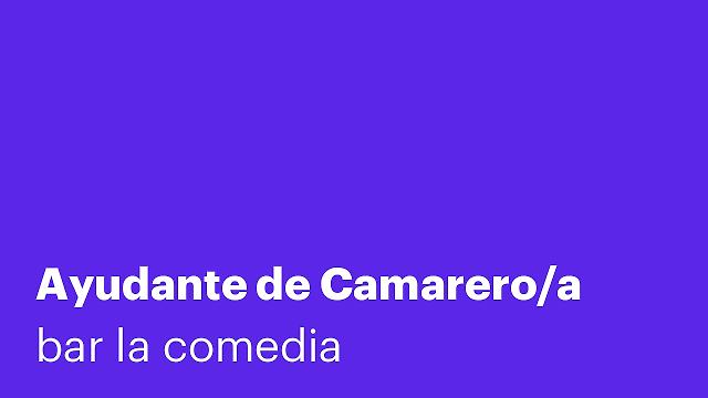 Ayudante de Camarero/a