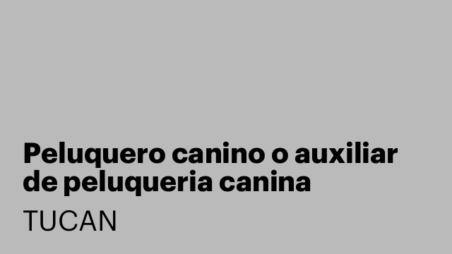 Peluquero canino o auxiliar de peluqueria canina