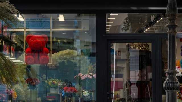 Ayudante/a de Florista