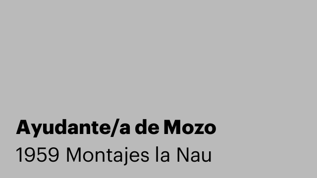 Ayudante/a de Mozo