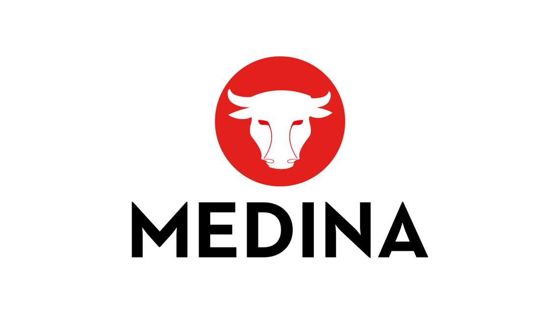 GRUPO MEDINA cover image