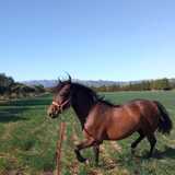 Jordi B. avatar icon