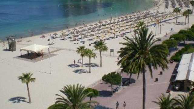 Se busca camarero en Palmanova