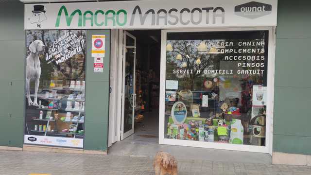 Veterinario/a