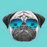 Ana Hermo avatar icon