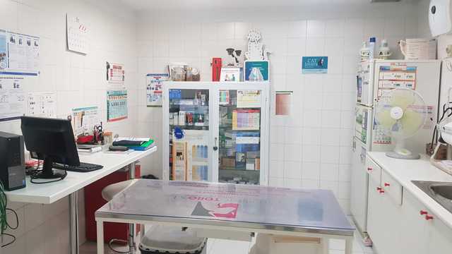 Peluquero/a de animales de compañía