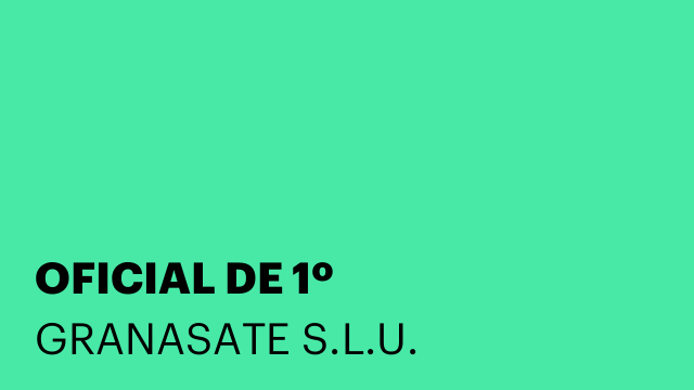 OFICIAL DE 1º