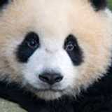 LingLing Y. avatar icon