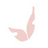 FISIONOVA F. avatar icon