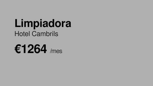 Limpiador/a