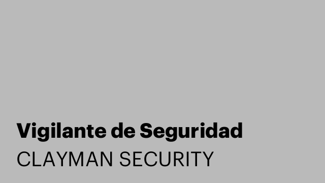 Vigilante de Seguridad