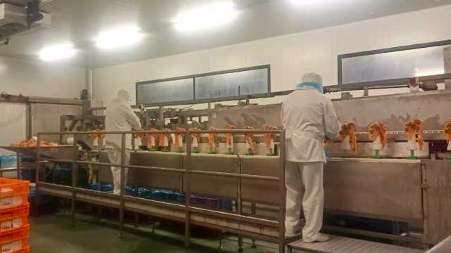 Operario
