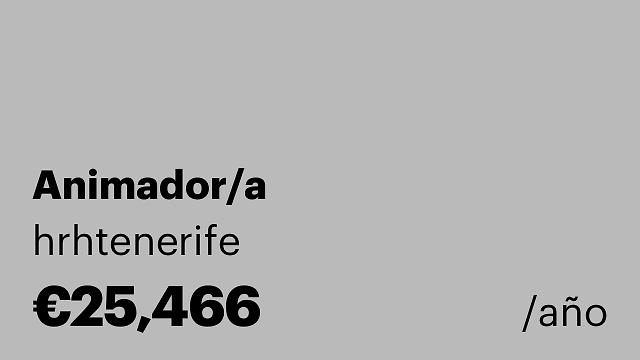 Animador/a