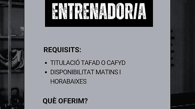Entrenador/a