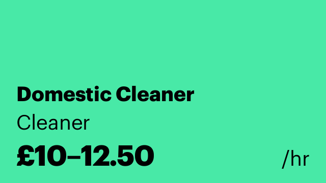 Domestic Cleaner