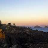 Adriana M. avatar icon