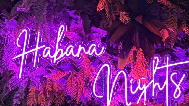 Camarero/a de Sala/Terraza