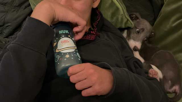 Support Worker & Carer for a disabled teen for nights and days shifts