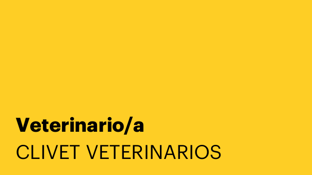 Veterinario/a