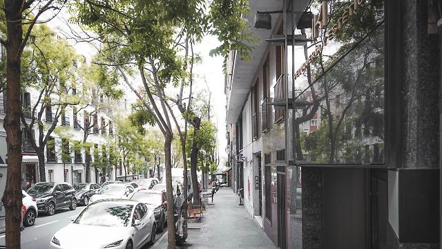 Oficial de Peluquería