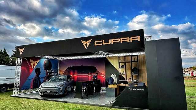 Montador de estands/carpintero