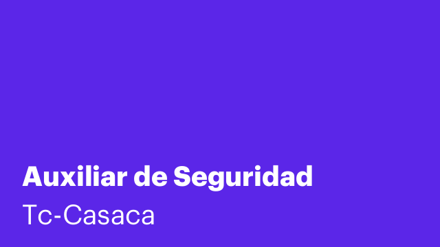 Auxiliar de Seguridad