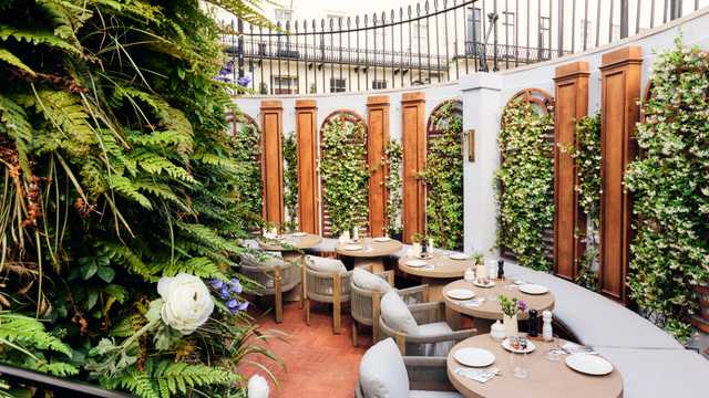 Food and Beverage Server