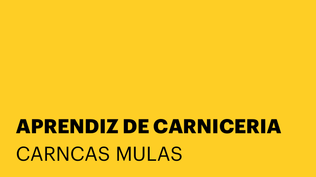 APRENDIZ DE CARNICERIA