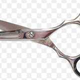 Gloria G. avatar icon