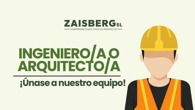 Ingeniero/a