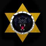 Active Panthers Security Pvt Ltd logo
