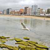 Alvaro C. avatar icon