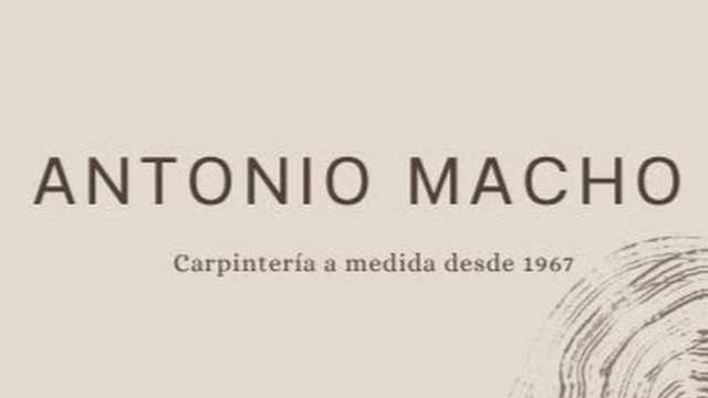 Carpintero/a de Madera