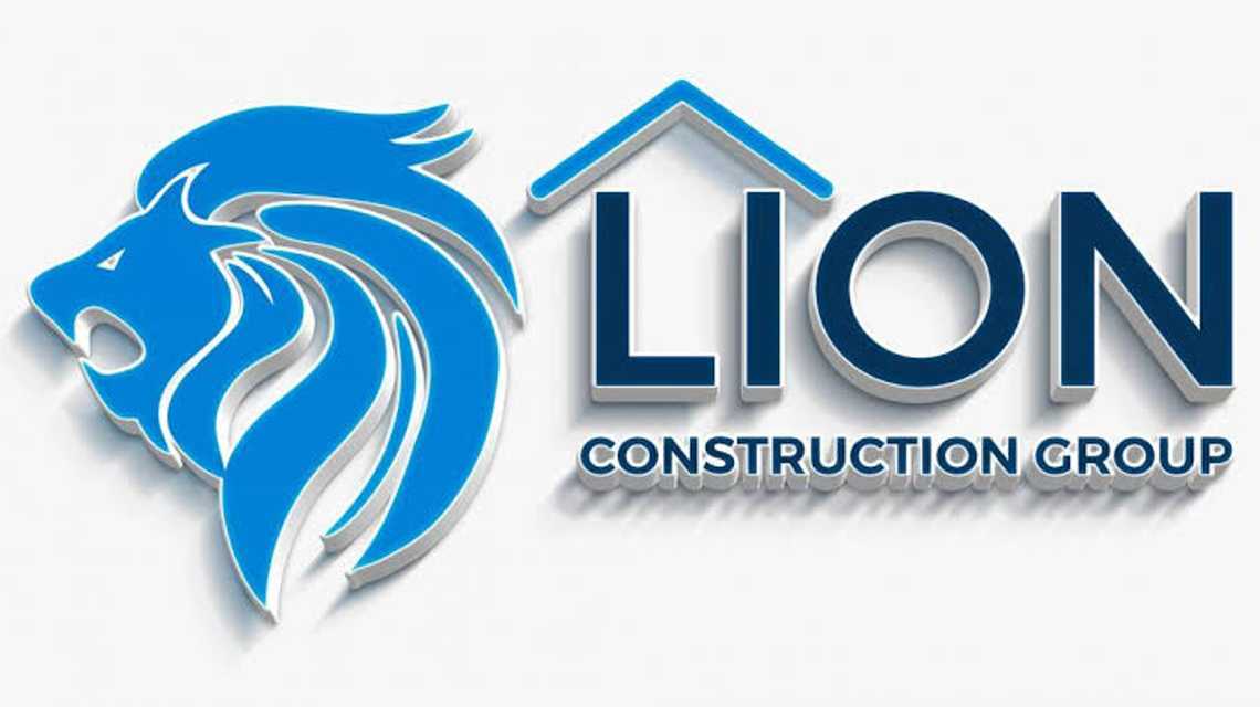 Lion Construction Management cover image