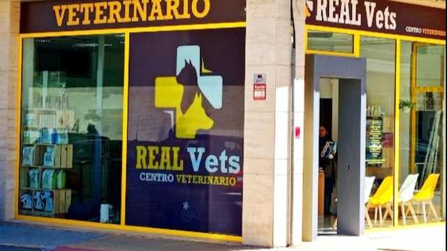 Veterinario/a