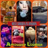 Adam  E. avatar icon